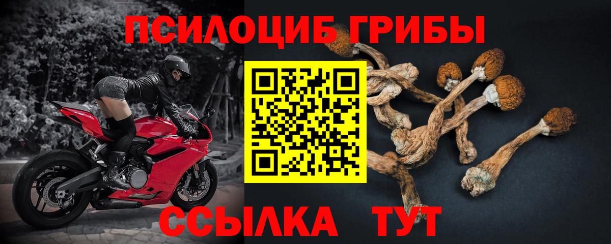 Галлюциногенные грибы ЛСД  Псилоцибиновые грибы мухоморы  Электрогорск  Вход с VPN 